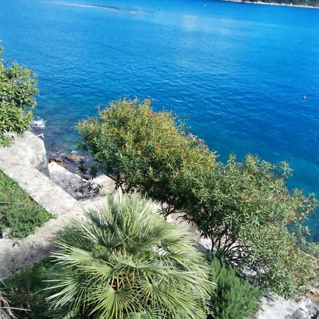 Mljet 4You - Beach House Sobra エクステリア 写真